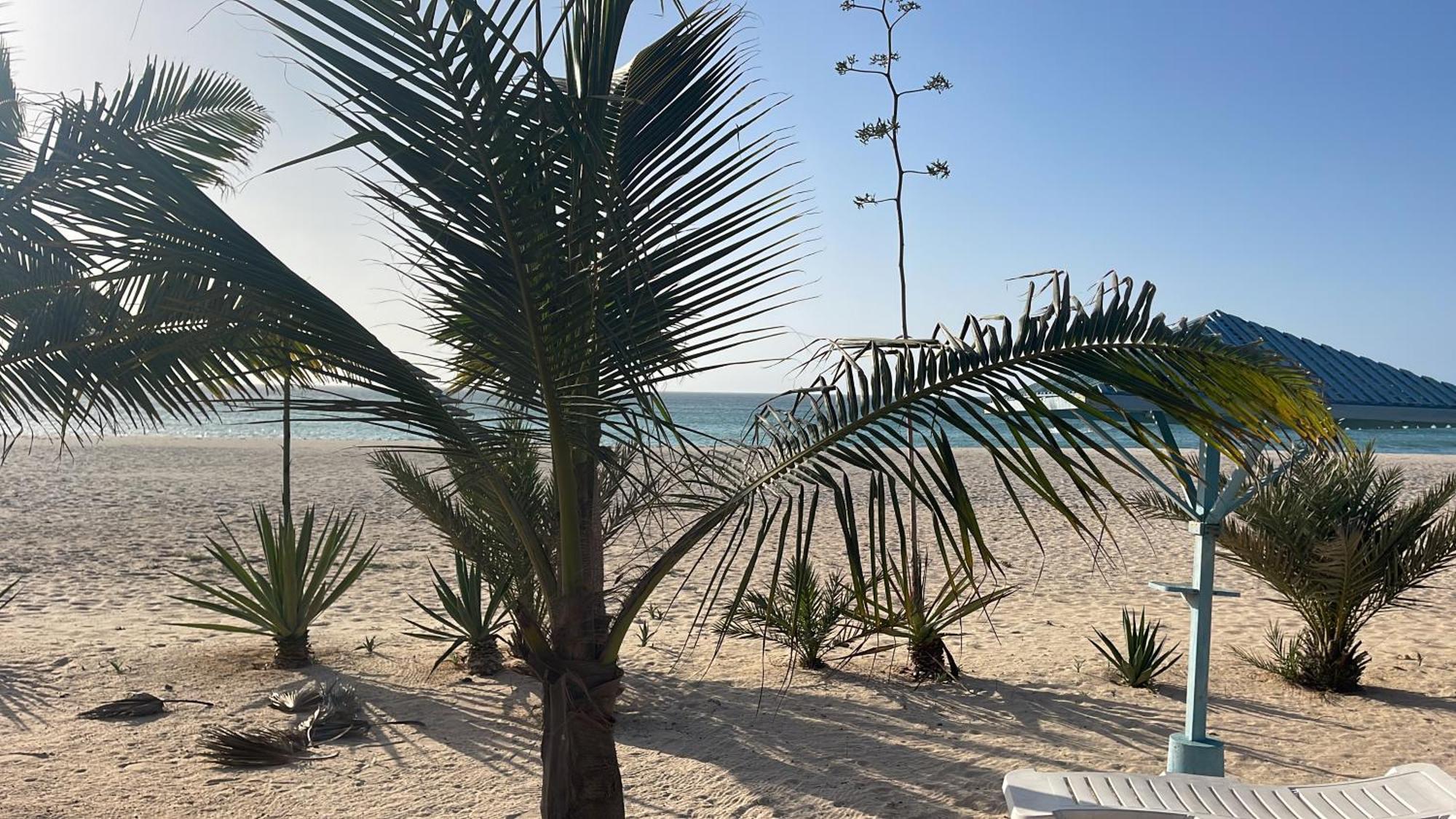Luxury Beach Villa, Praia De Chaves, Boa Vista Sal Rei Eksteriør billede